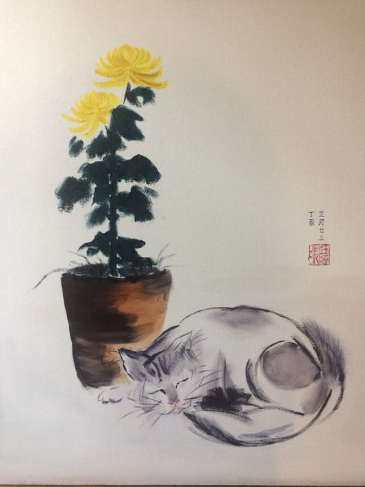 A Cat Sleeping Under Chrysanthemum