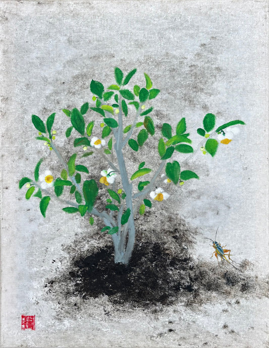 August, Cricket Is Near The House