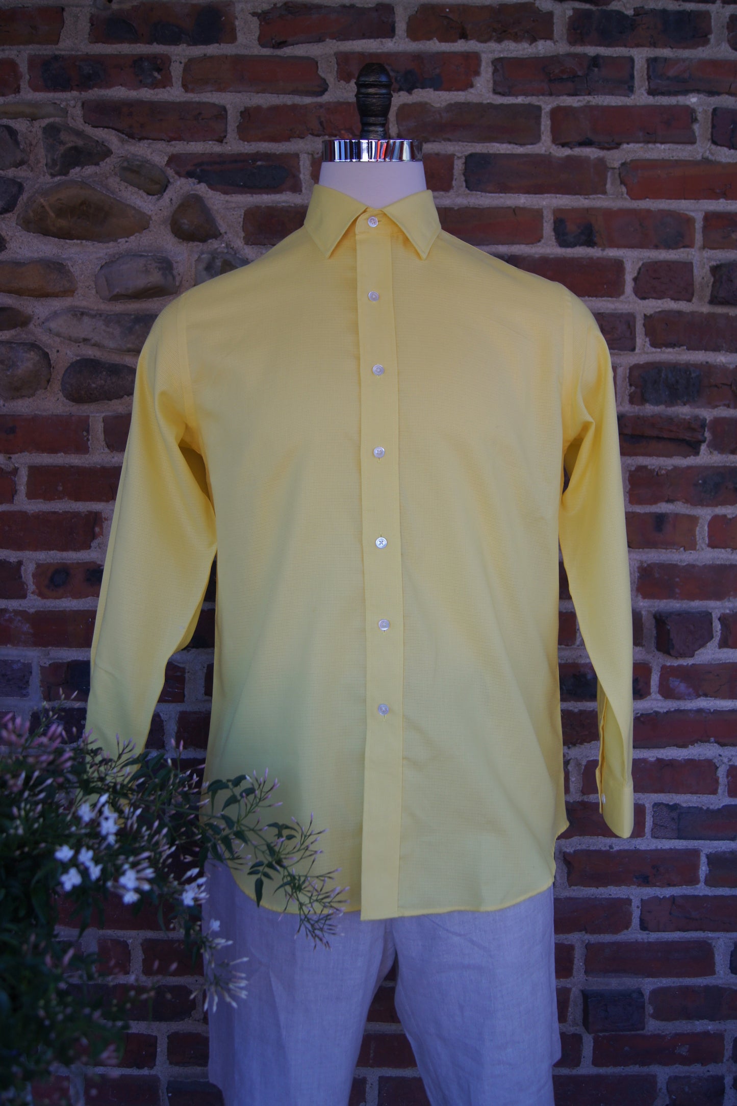 Queen of The Jungle-Michael’s Go-to Shirt